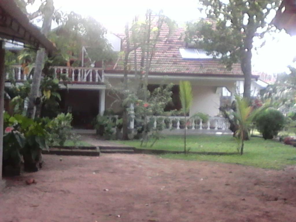 Villa Pala Negombo Kültér fotó